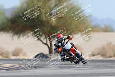 media/Oct-13-2025-Moto Forza (Mon) [[a66d839500]]/3-B Group/Session 4 Turn 4 Tree of Life/